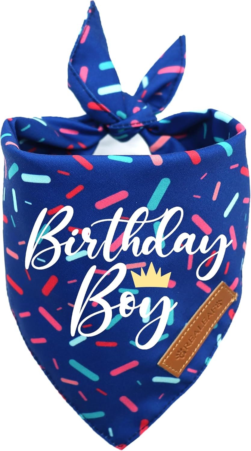 Realeaf Birthday Boy Dog Bandana, D...