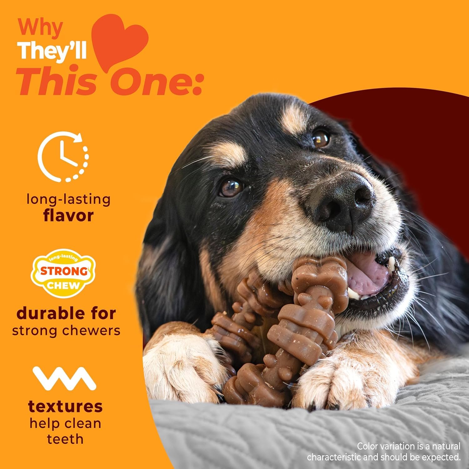 Nylabone Strong Chew Ring Dog Toy, Chew Toy Made with Real Beef & Chicken - Image 3