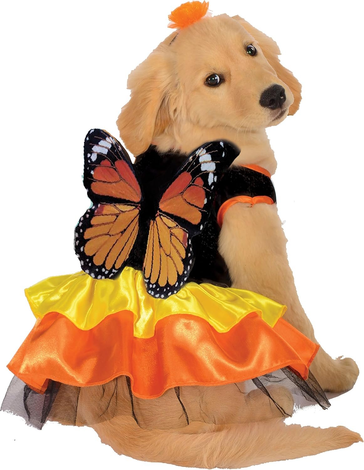 Rubies Monarch Butterfly Pet Costum...