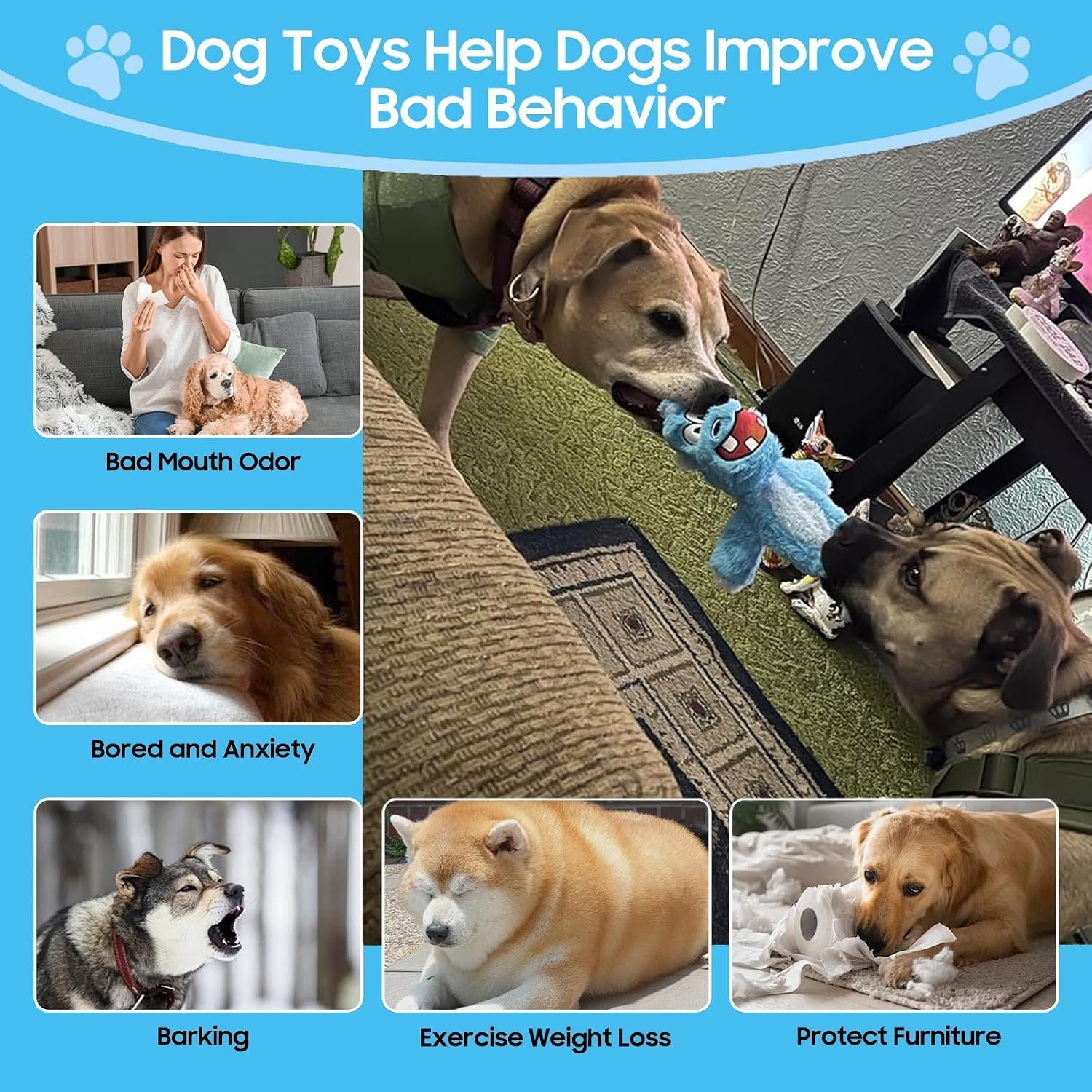 No Stuffing Squeaky Dog Toys Plush Chew toys for Small Medium Large Breed - Image 5