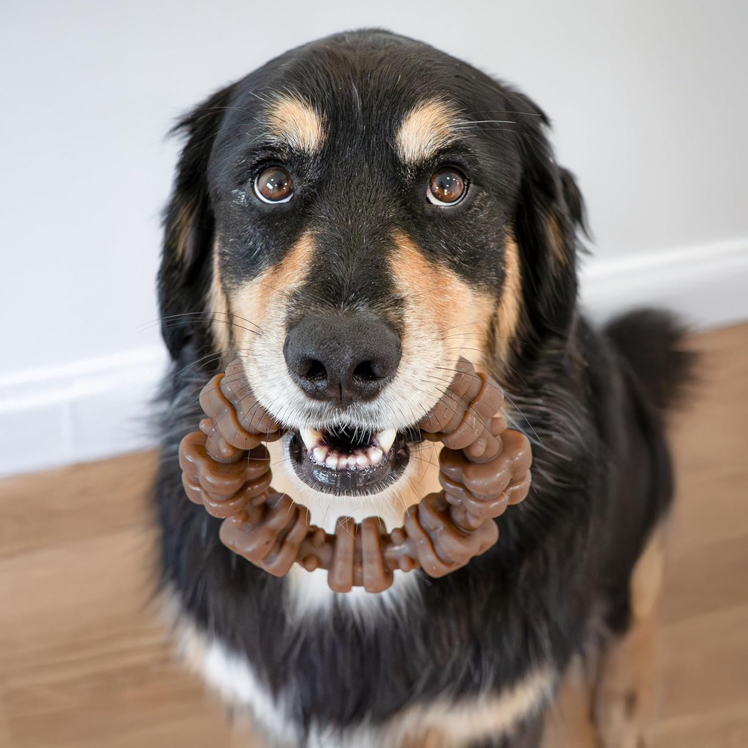 Nylabone Strong Chew Ring Dog Toy, Chew Toy Made with Real Beef & Chicken - Image 5