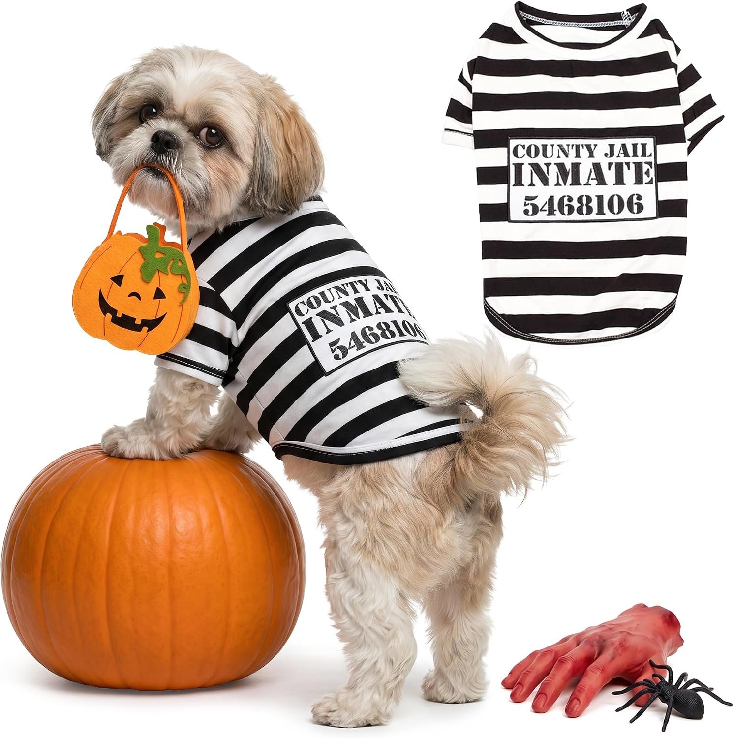 Parisian Pet Dog Halloween Costume ...