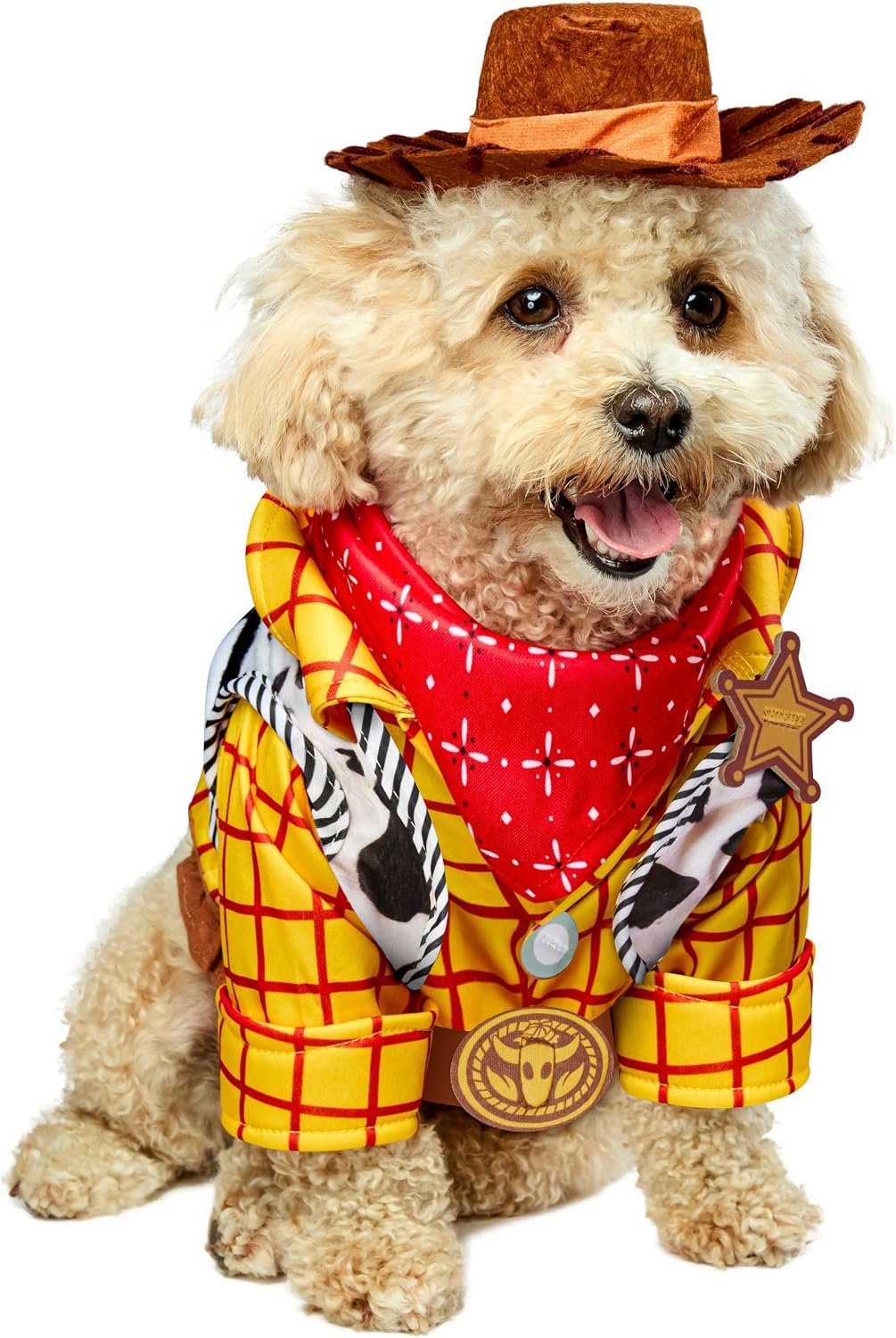 Rubies at Party City Toy Story: Woo...