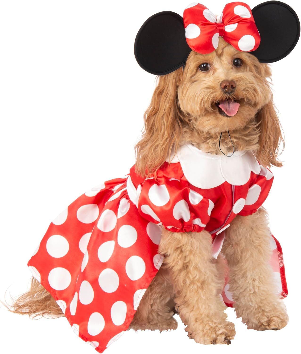 Rubies at Party City Disney: Minnie...
