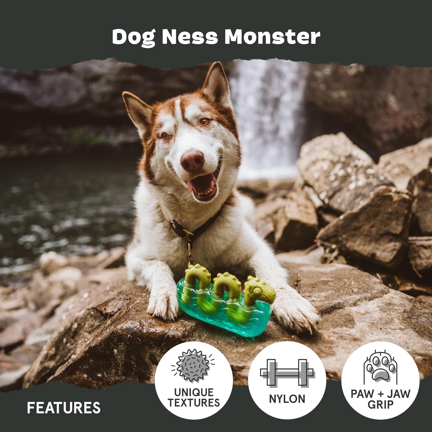BarkBox Dogness Monster Super Chewer - Toy for Medium and Large Dogs - Image 4