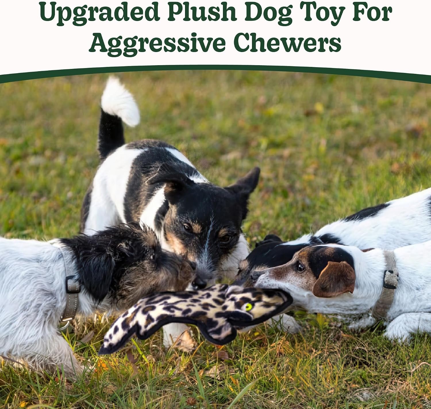 SHARLOVY No Stuffing Dog Toys Crinkle Squeaky, Long Lasting Chews for Aggressive, Durable Plush Dog Puppy Chew Toys for Teething, with 6 Tough Layers for Small Medium Large Breed-5pack,Large - Image 2