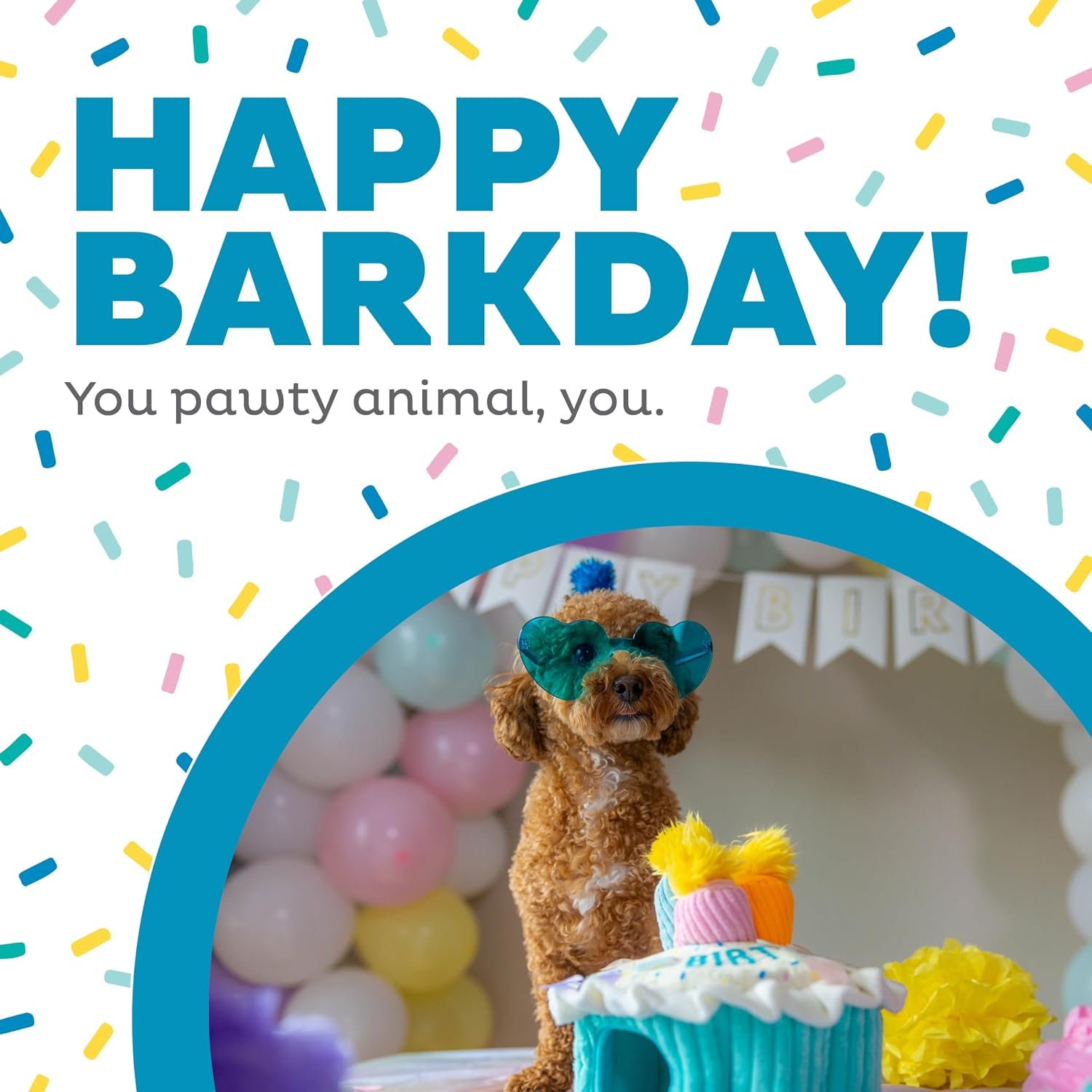 Outward Hound Hide-A-Birthday-Cake Plush Squeaky Dog Toy, 7.5" x 4.7" - Image 2