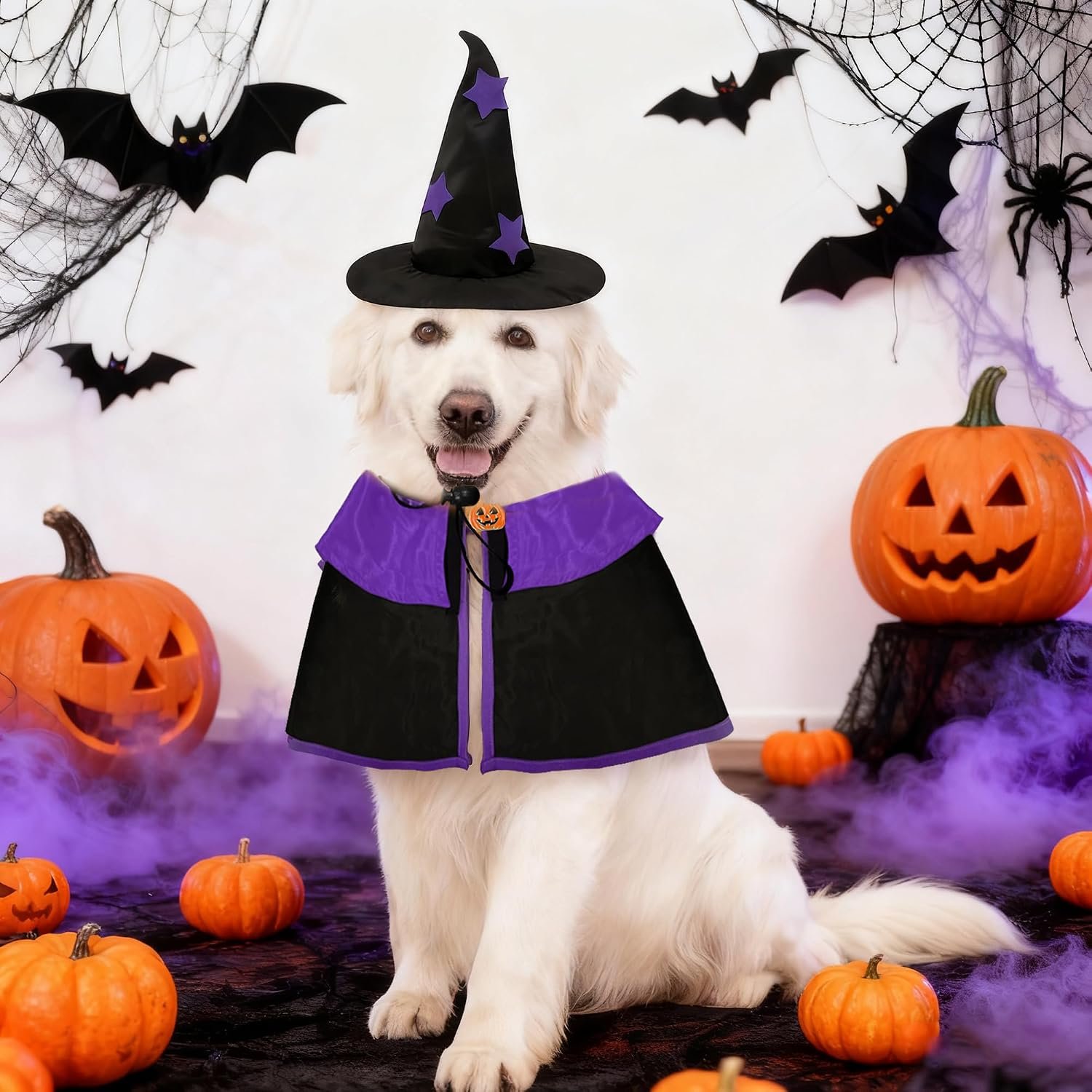 Dog Witch Costume – Dog Hallo...