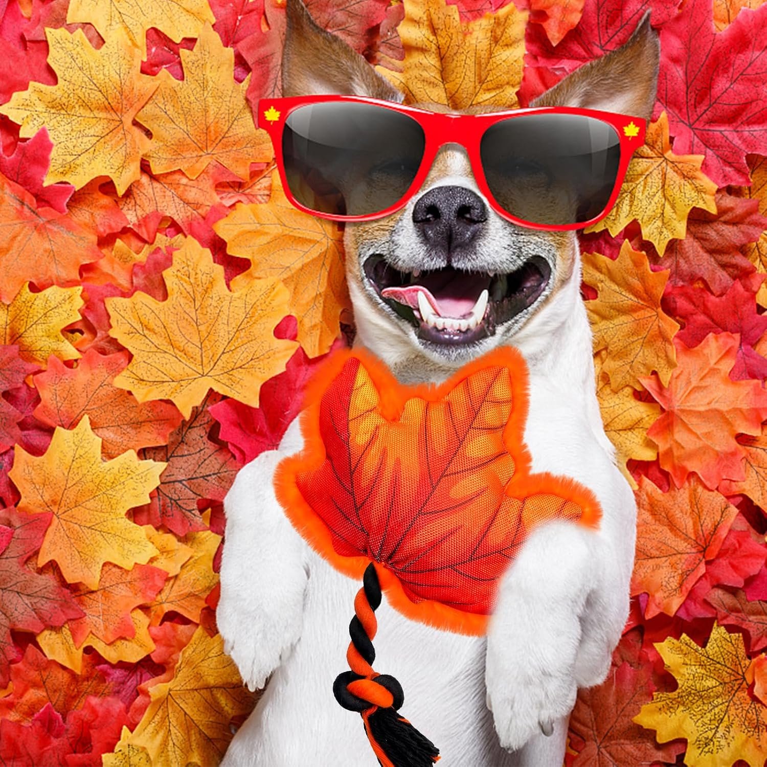 Thanksgiving Dog Toy, Squeaky Maple Leaf Rope Toy for Small Dogs - Image 2