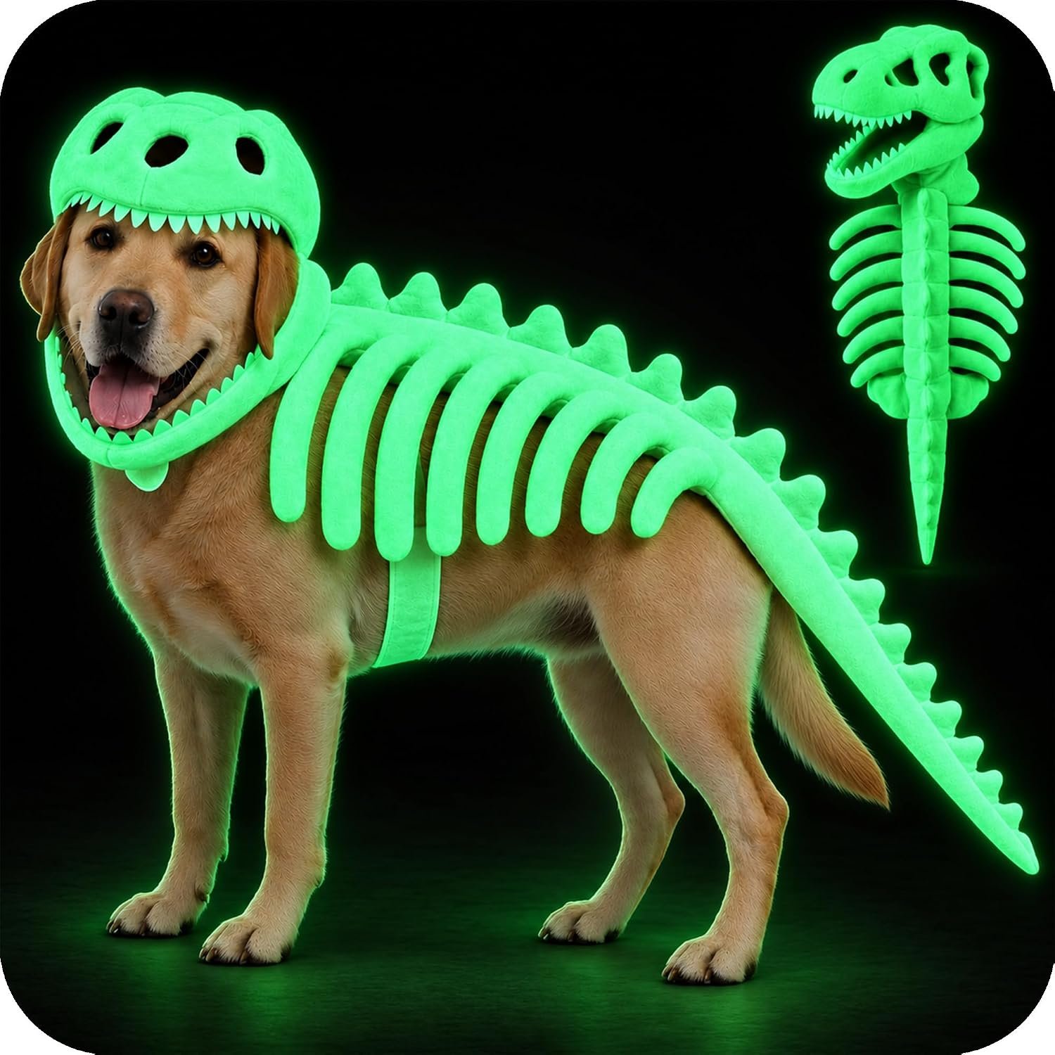 Dog Dinosaur Costume, 3D Skeleton H...