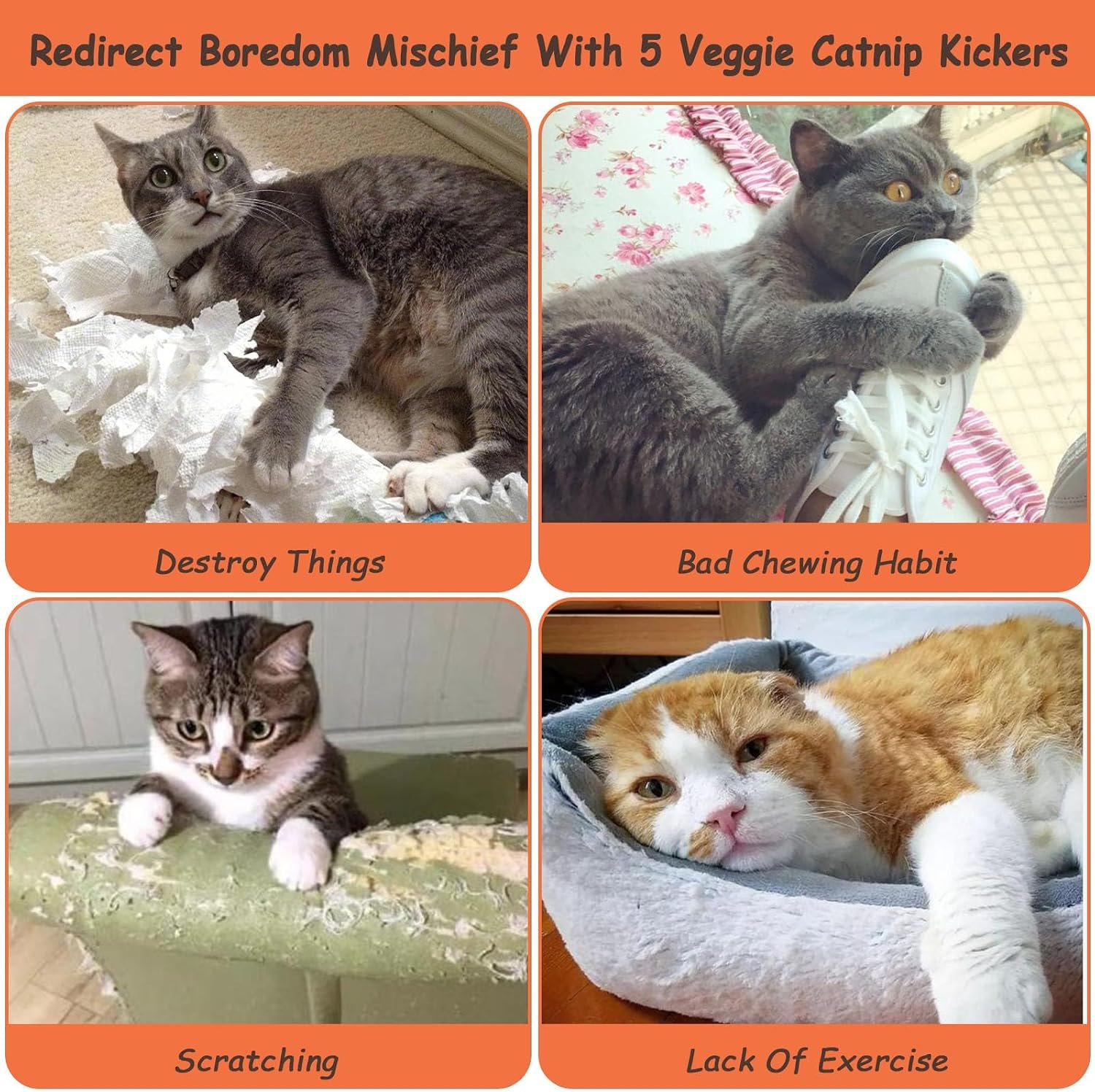 ETEKYER Catnip Cat Toys 5 Pack Vegetable Plush Kicker for Indoor Cats - Image 9