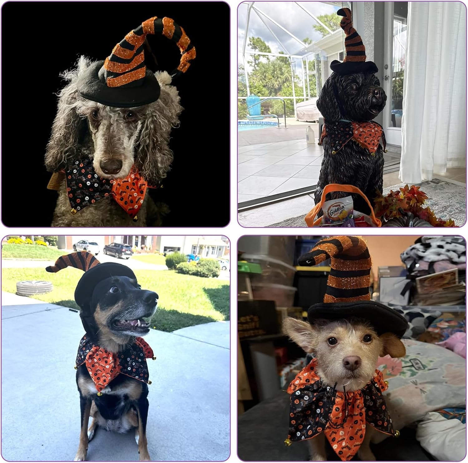PAWCHIE Dog Halloween Costume,Halloween Collar Hat Set Pets Puppy Cat Halloween Outfit Apparel Cosplay, Dog Collar with Bells and Funny Hat Accessories Decoration for Small Medium Dogs 2 Pcs, Orange - Image 6