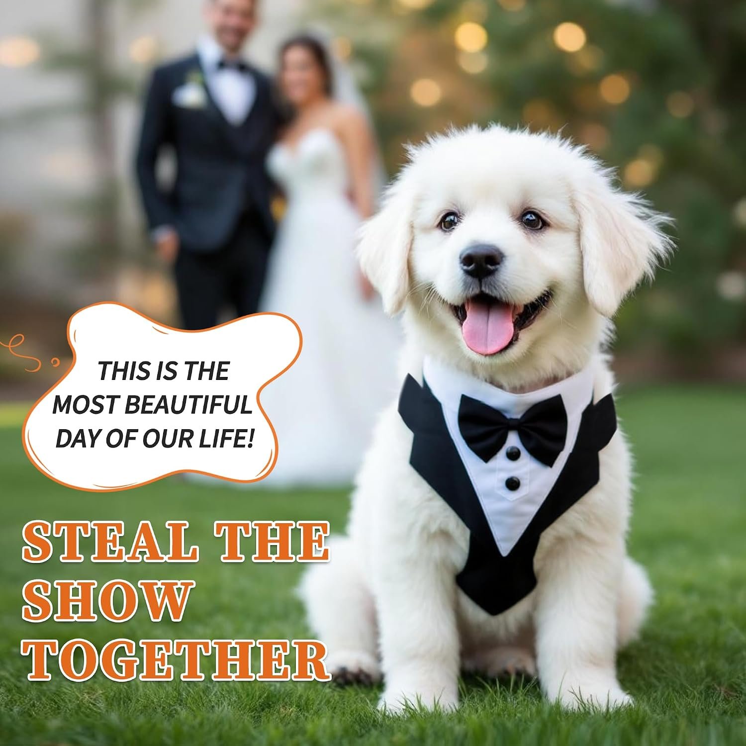 Dog Tuxedo for Wedding, Pet Tuxedo Suit with Bow Tie, Pet Costumes for Small Dogs, Formal Party Attire for Halloween Christmas, Medium, Black White - Image 2