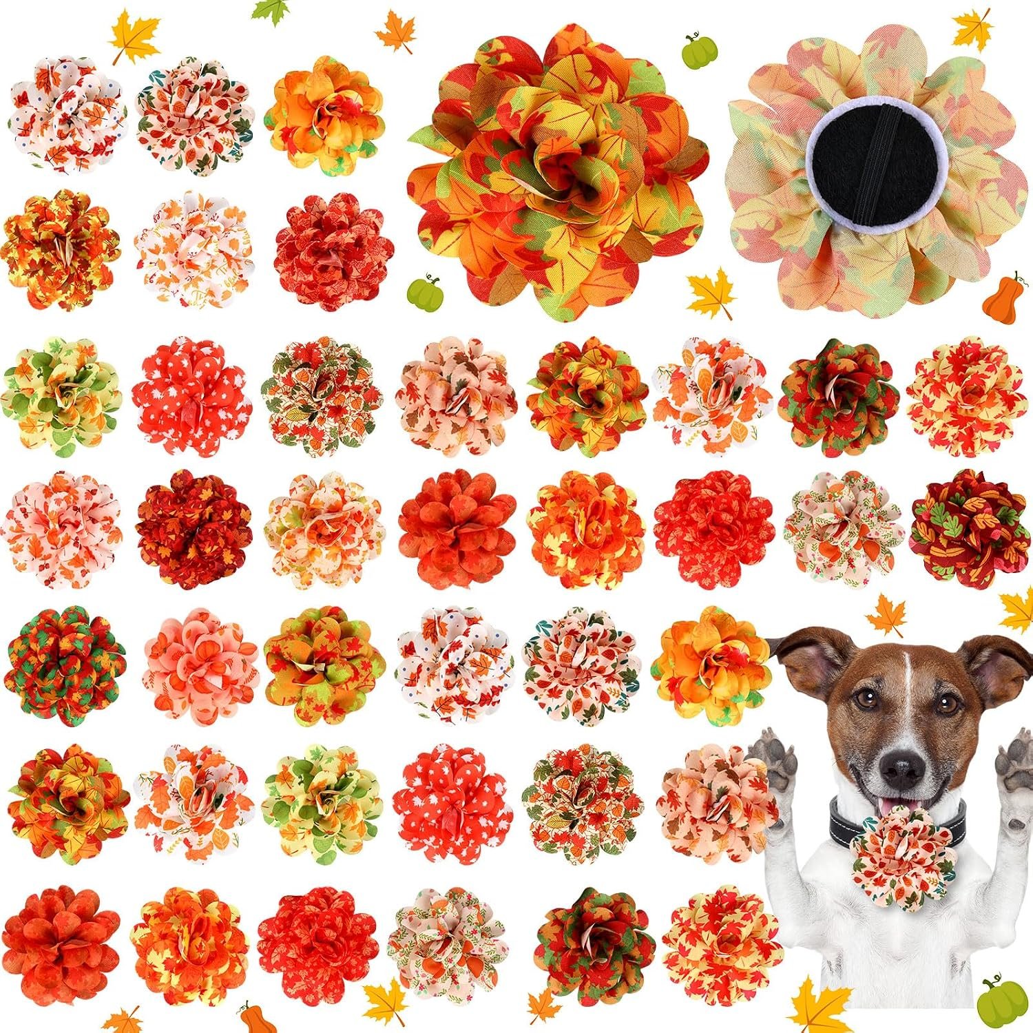 Huhumy 50 Pcs Fall Dog Collar Flowe...