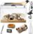 HELIME Reptile Tank 7 Piece Starter Kit with Escape Proof Locking Lid XL | All in One lizard Terrarium,Polycarbonate Leopard Gecko Enclosure Frogs Cage with Light,Hygrometer,Hide,Tweezer,Bowl,Sprayer