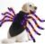 Halloween Light up Spider Dog Costumes for Small Medium Large Dogs