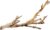 Exo Terra Forest Branch Small – Natural Wood Terrarium Decoration for Reptiles, Amphibians & Small Pets