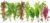 Live Aquarium Plants Variety Pack – Nursery’s Choice Easy Beginner 6-Bundle Package | Freshwater Tank Starter Kit, Hardy Low-Light Aquatic Plants