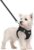 rabbitgoo Dog Harness Small Sized and Leash Set, Step-in Puppy Pet Vest | Light, Soft, Breathable Air Mesh, Easy on and Remove with Hook & Loop, Secure Reflective for Walking, Black S