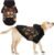 KOOLTAIL Halloween Dog Hoodie Sweatshirt, Pumpkin Pet Costume Outfit, L