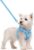 rabbitgoo Dog Harness Small Sized and Leash Set, Step-in Puppy Pet Vest | Light, Soft, Breathable Air Mesh, Easy on and Remove with Hook & Loop, Secure Reflective for Walking, Blue S