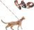 pidan Cat Harness and Leash Set, Cats Escape Proof – Adjustable Kitten Harness for Large Small Cats, Lightweight Soft Walking Travel Petsafe Harness（(Multicolor-M Size）
