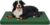 Outdoor Extra Large Dog Bed XXL for Giant Breed Dogs | Egg Crate Orthopedic Foam, Fits 48×30 Crates, TPU Waterproof Layer, Machine Washable 1680D Oxford Cover, Up to 110 lbs