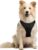 rabbitgoo Dog Harness, No Pull Medium Sized with 2 Leash Clips, Pet Vest | No Choke, Adjustable, Breathable Padded, 2 Lead Rings, Reflective, Easy Control for Walking Training, M, Black