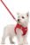 rabbitgoo Dog Harness Small Sized and Leash Set, Step-in Puppy Pet Vest | Light, Soft, Breathable Air Mesh, Easy on and Remove with Hook & Loop, Secure Reflective for Walking, Red S