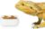 Ceramic Reptile Food Bowls, Reptile Water Food Dish (White, Small 1-Pack)