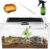Mini Reptile Terrarium Set,11.8″ x 7″x 6″ Low Reptile Tank with Full View Visually Appealing，for Insect，Fish，Tarantula，Hermit Crab，Jumping Spider，Iguana，Tortoise，Leopard Gecko，Frog，Bearded Dragon