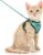 Dooradar Cat Harness and Leash Set, Adjustable and Escape Proof, Xs | Easy Fit, Snap Buckles, Soft Breathable Vest, Sturdy Clip, Reflective Strips, for Small & Average Cat Walks, Green