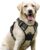 rabbitgoo Dog Harness, No Pull for Large Dogs with 2 Leash Clips, Pet Vest | No Choke with Handle, Adjustable Soft Padded, Reflective, Easy Control for Walking, Beige, Large