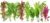 Live Aquarium Plants Bundle – 6 Freshwater Plants for Fish Tanks, Easy Beginner Low Light Aquatic Plant Pack, Mixed Variety