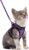 rabbitgoo Cat Harness and Leash Set, Step-in Soft Vest, Purple | Escape Proof, Lightweight, Easy-on & Adjustable, Hook & Loop with Buckle, Reflective, for Kittens & Small Cats Walks, S