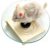 Glass Chinchilla Wheel – 11″ Silent Chinchillas Exercise Wheel for Sugar Gliders,Syrian Hamsters,Hedgehog,Rats & Small Pets – Chew-Proof & Easy to Clean (11inch)
