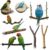 8PCS Bird Perches for Cage, Natural Wood Stands for Small Parrots | Bird Cage Accessories: Natural Wood Perches Set for Cockatiels, Conures, Lovebirds, Budgies. Easy Install, Safe for Chewing