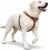 Genuine Leather Dog Harness – Adjustable No Pull Harness with Soft Padded Chest, Heavy Duty Buckle, Brown, Medium Dogs