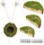 Jumping Spider Habitat Kit, Green Moss Hideout Cave and 3 Pcs Resting Feeding Platforms, Suction Cup Magnet Terrarium Decor for Jumping Spider Small Reptiles