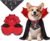 Dog Halloween Costumes with Black Bandana, Dog Vampire Cloak Cape(Red,M)