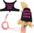 Bearded Dragon Harness and Leash Set Adjustable Reptile Lizard Leash Rope Vest Clothes Starter Kit Accessories for Small Animal Outdoor Walking Training