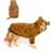 HOTUMN Large Dog Tiger Costumes – Halloween Dog Cosplay Costume Pet Warm Thick Clothes and Cute Hoodie Winter Coat for Medium Large Dogs(Tiger,6X-Large)