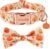 PTDECOR Halloween Dog Collar with Bow, Yellow Pumpkin Pet Collar, Medium