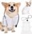 Dog Doctor Costume Cat Surgeon Nurse Costumes with Stethoscope, White, L