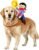Dog Halloween Costumes, Funny Dog Cowboy Rider Costume, Adjustable Pet Halloween Cosplay Costume for Small Medium Large X-Large Dogs (XX-Large)