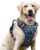 rabbitgoo Dog Harness, No Pull for Large Dogs with 2 Leash Clips, Pet Vest | No Choke with Handle, Adjustable Soft Padded, Reflective, Easy Control for Walking, Blue Star, Large