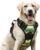 rabbitgoo Dog Harness, No Pull for Large Dogs with 2 Leash Clips, Pet Vest | No Choke with Handle, Adjustable Soft Padded, Reflective, Easy Control for Walking, Green Mountain, Large