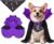 Dog Halloween Costumes with Black Bandana, Dog Vampire Cloak Cape(Purple,M)