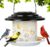 Solar Bird Feeders for Outdoors, Weatherproof Metal Bird Feeder, Outside Hanging Birdfeeder Lantern with Flowers Pattern for Courtyard Garden Decoration -Black White
