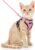 Dooradar Cat Harness and Leash Set, Adjustable and Escape Proof, Xs | Easy Fit, Snap Buckles, Soft Breathable Vest, Sturdy Clip, Reflective Strips, for Small & Average Cat Walks, Pink